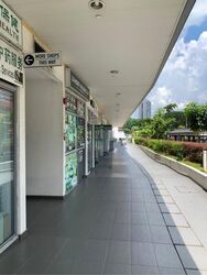 Suites @ Bukit Timah (D21), Shop House #507293911
